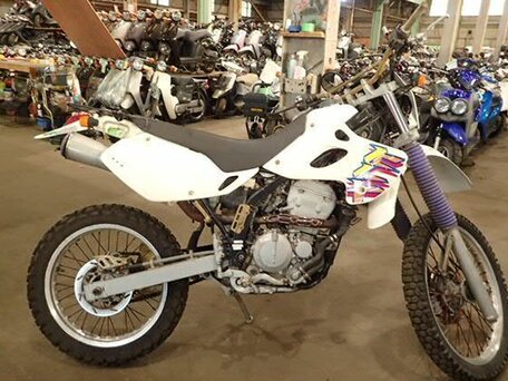 1995 Kawasaki KLX 250, белый, 285000 рублей, вид 1