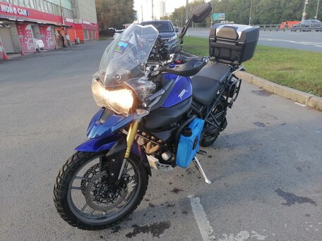 2014 Triumph Tiger 800, синий, 635000 рублей, вид 3