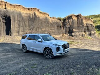 2021 Hyundai Palisade I, белый, 5150000 рублей, вид 1