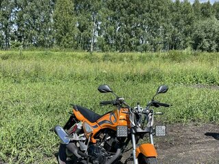 Zontes Monster