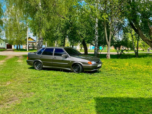 2005 Lada (ВАЗ) 2115, коричневый, 230000 рублей - вид 5