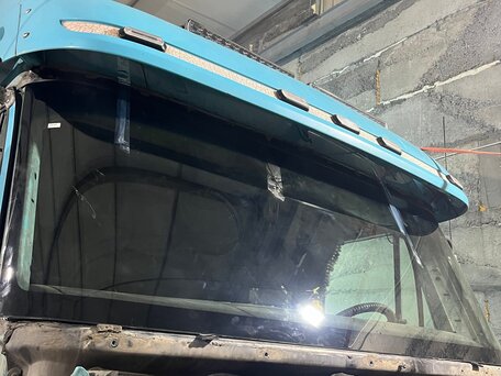 2009 Freightliner Century Class, голубой, 3500000 рублей, вид 5