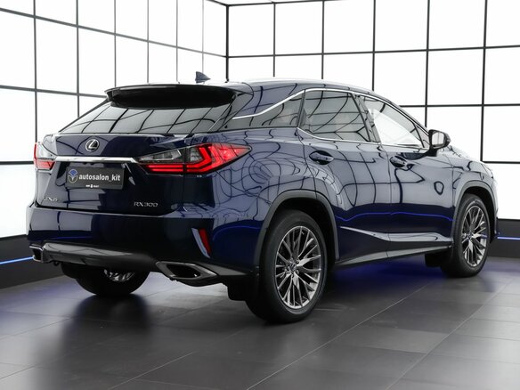 2019 Lexus RX 300 IV Рестайлинг, синий - вид 4