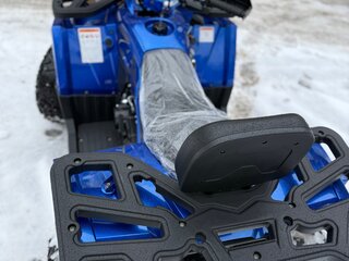 2025 Motoland Wild Track 200 X Pro, жёлтый, 225000 рублей, вид 5