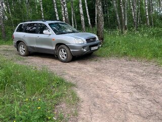 2002 Hyundai Santa Fe I, серебристый, 670000 рублей, вид 2