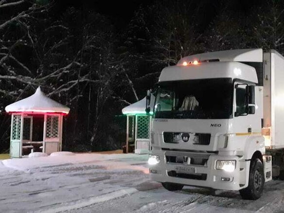 2018 КамАЗ 5490, белый, 2650000 рублей - вид 8