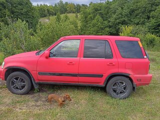 1999 Honda CR-V I Рестайлинг, красный, 335000 рублей, вид 4