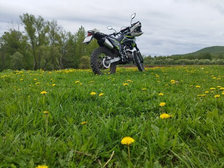 2023 Regulmoto Sport 003, чёрный, 165000 рублей, вид 2