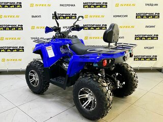 2025 Bison Hammer 250 PRO, синий, 252990 рублей, вид 3