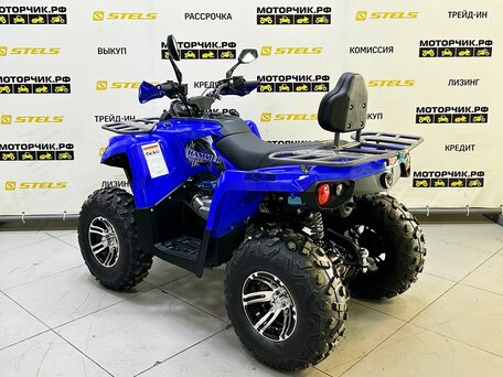 2025 Bison Hammer 250 PRO, синий, 252990 рублей, вид 3
