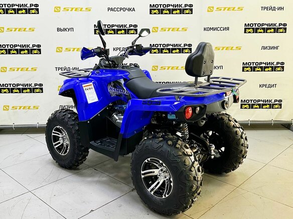 2025 Bison Hammer 250 PRO, синий - вид 2