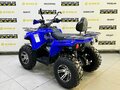 2025 Bison Hammer 250 PRO, синий - вид 2