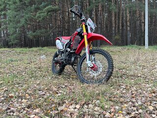 2024 Regulmoto CR-Z 300, красный, 220000 рублей, вид 2