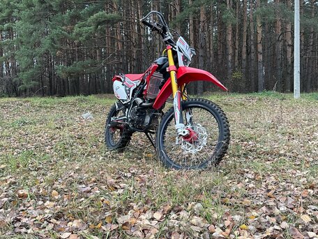 2024 Regulmoto CR-Z 300, красный, 220000 рублей, вид 2