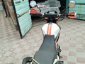 2020 Shineray Adventure 250, белый, 120000 рублей - вид 10