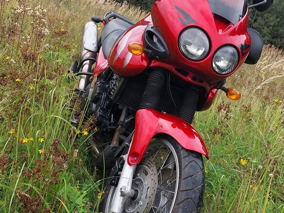 2002 Triumph Tiger 955i, пурпурный, 320000 рублей - вид 12