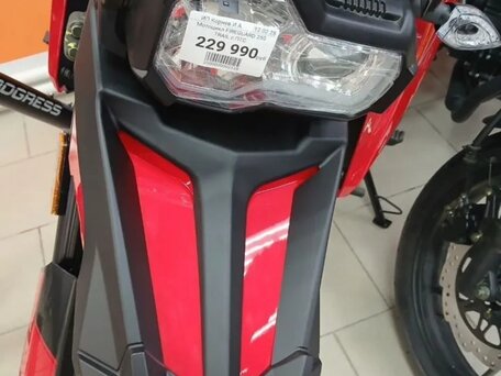 2023 Shineray Fireguard 250 Trail, серый, 170000 рублей, вид 3