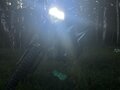 2024 Ariic Gemma, зелёный, 80000 рублей - вид 4