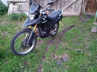 2020 Racer Panther, чёрный, 100000 рублей, вид 5