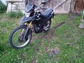 2020 Racer Panther, чёрный, 100000 рублей - вид 4