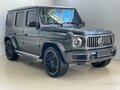 2020 Mercedes-Benz G-Класс 500 III (W463), серый