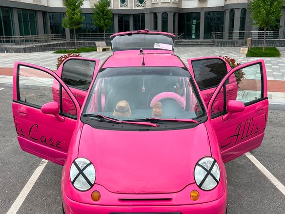 2007 Daewoo Matiz I Рестайлинг, розовый - вид 15