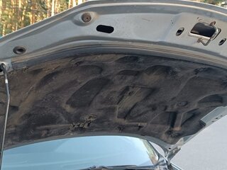2009 ГАЗ Volga Siber I, серебристый, 270000 рублей, вид 5