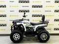 2025 Bison ATV200, белый - вид 7