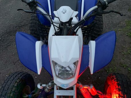 2014 Irbis ATV 250S, синий, 180000 рублей, вид 4