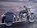 2001 Harley-Davidson Springer Softail, чёрный - вид 2