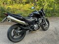 2003 Honda CB 600F Hornet, чёрный, 445000 рублей - вид 3