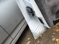 1999 Lada (ВАЗ) 2110, белый, 249000 рублей - вид 10