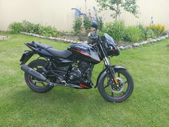 2024 Bajaj Pulsar 180, красный, 150000 рублей - вид 1