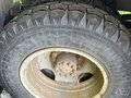 2016 ПАЗ 3206, белый, 200000 рублей - вид 11