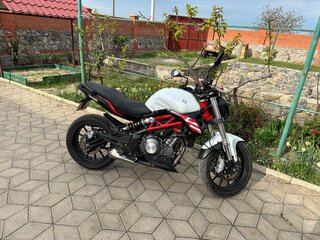 Benelli TNT 302S