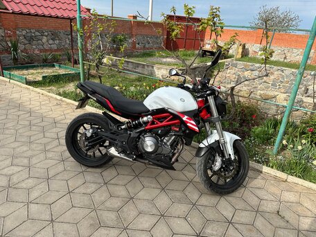 2020 Benelli TNT 302S, белый, 350000 рублей, вид 1