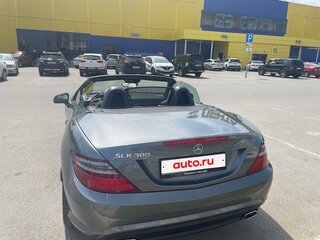 2015 Mercedes-Benz SLK-Класс 300 III (R172), серый, 2790000 рублей, вид 5