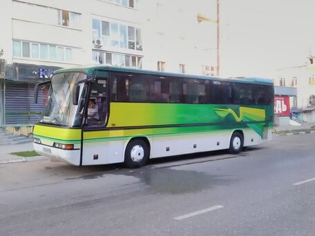 1998 MAN SL, зелёный, 1750000 рублей, вид 3