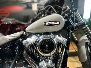 2025 Harley-Davidson Street Bob, серебристый, 2290000 рублей, вид 5