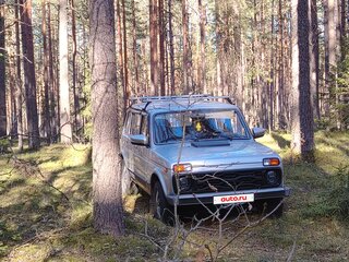 2010 Lada (ВАЗ) 2131 (4x4) 213105 I, серебристый, 500000 рублей, вид 1