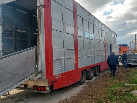 2003 Wielton STM, серебристый, 3200000 рублей - вид 1