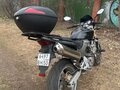 2006 Honda CB 600F Hornet, чёрный, 430000 рублей - вид 11