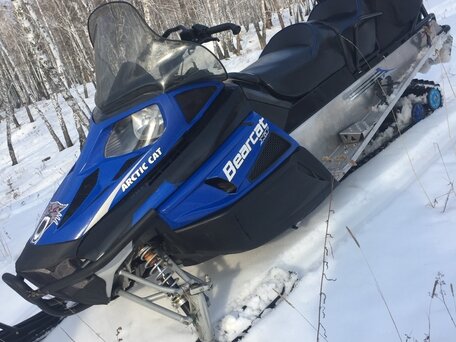 2009 Arctic Cat Bearcat, синий, 650000 рублей, вид 1