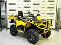 2026 Stels ATV-800 Guepard Cargo, жёлтый - вид 6