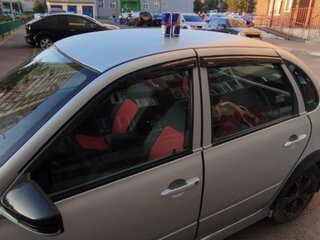 2008 Lada (ВАЗ) Kalina I, серебристый, 330000 рублей, вид 3