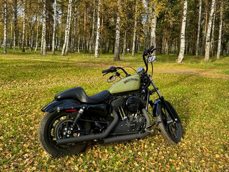2019 Harley-Davidson Sportster 1200, чёрный, 1099000 рублей, вид 2