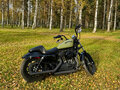 2019 Harley-Davidson Sportster 1200, чёрный, 1099000 рублей - вид 1