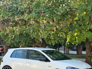 2018 Volkswagen Golf GTI VII Рестайлинг, белый, 2950000 рублей, вид 2