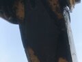 2012 Caterpillar 428F2 - вид 5
