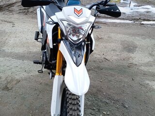 ЗиД 250 Enduro
